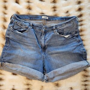 Kensie Jeans Denim Jean Shorts